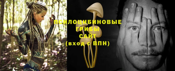 соль ск Костерёво