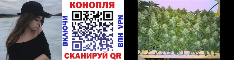 Бошки марихуана гибрид  купить  сайты  это телеграм  Пролетарск 